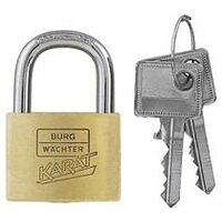 Precision cylinder lock individual keys 50 mm