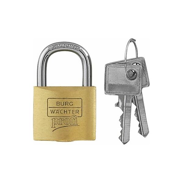 Precision cylinder lock shared keys