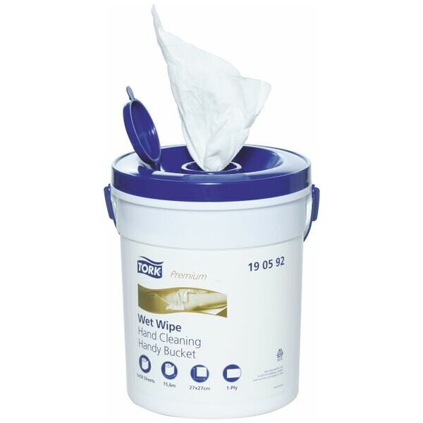Non-woven hand cleansing wipes  58