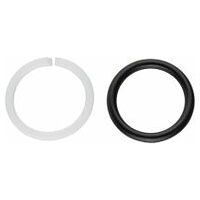 Back-up ring and o-ring