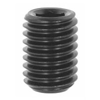 Spare clamping screw