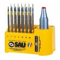 Set of “Dinaplus” torque screwdrivers
