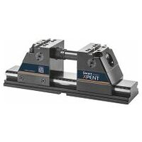 5-axis vice Xpent