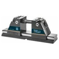 Morsa a 5 assi Xpent, Modello: UNI1