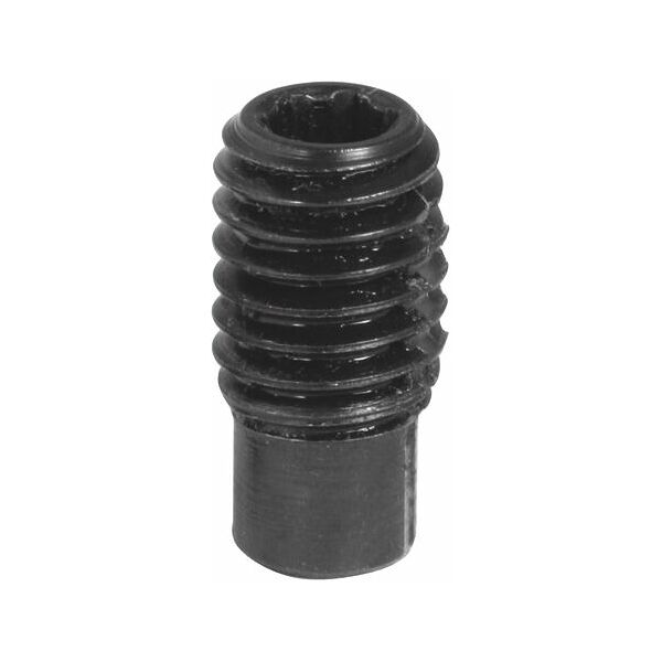 Pin tightening screw