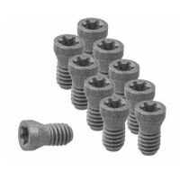Set of insert screws 10-piece