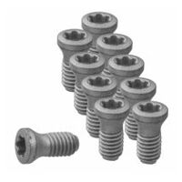 Set of insert screws pack of 10 10-piece
