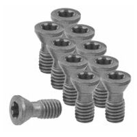 Set of insert screws 10 pieces