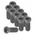 Torx® set of screws 10 pieces TX9