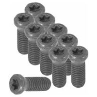 Torx® set of screws 10 pieces