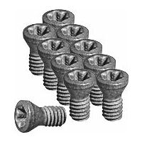 Torx Plus® insert screw set 10 pieces