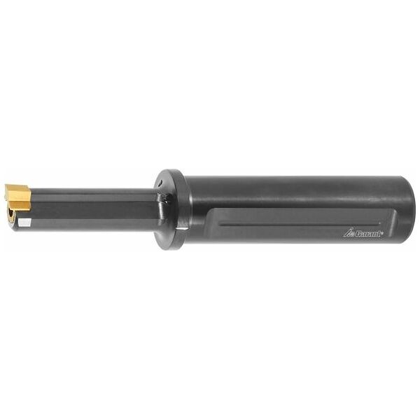 Porte-outils à mortaiser standard ⌀ D<sub>S</sub> 16 mm 6 mm