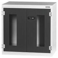 Base cabinet with Viewing window swing doors