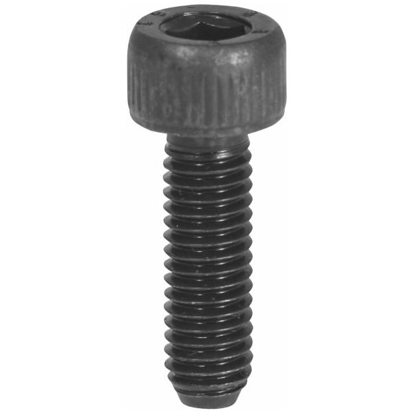 Locking screw for extension