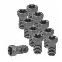 Set of insert screws 10 pieces 1