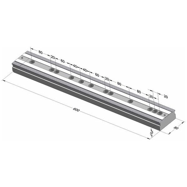Multi-point clamping rail 80  600 mm