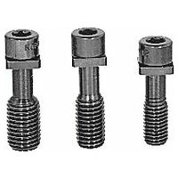 Special screw for Monobloc, Duo, and chain clamp
