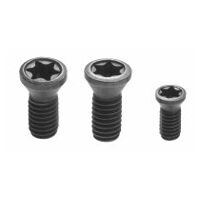 Spare parts set for screw-on toolholder