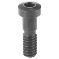 Screw for clamping claw  3
