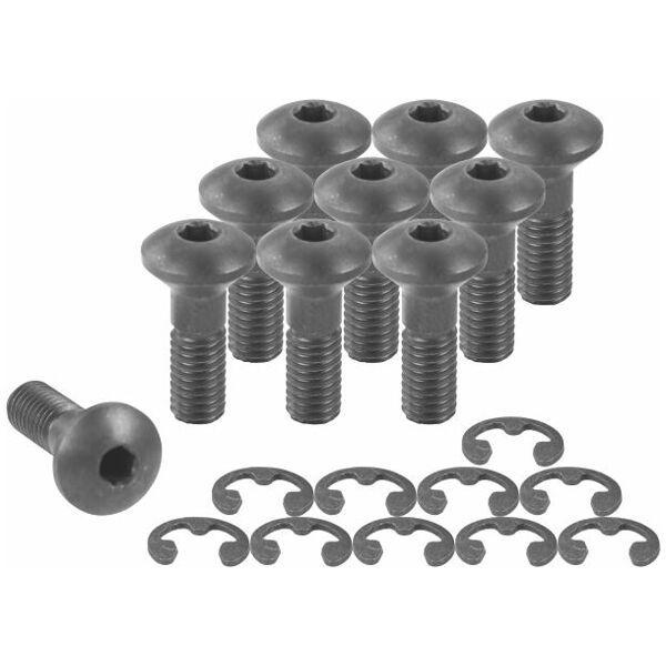 Set of screws 10 pieces 1