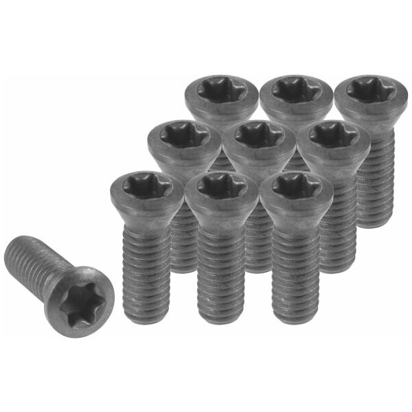 Set of insert screws  2