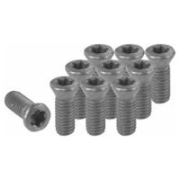 Set of insert screws  16