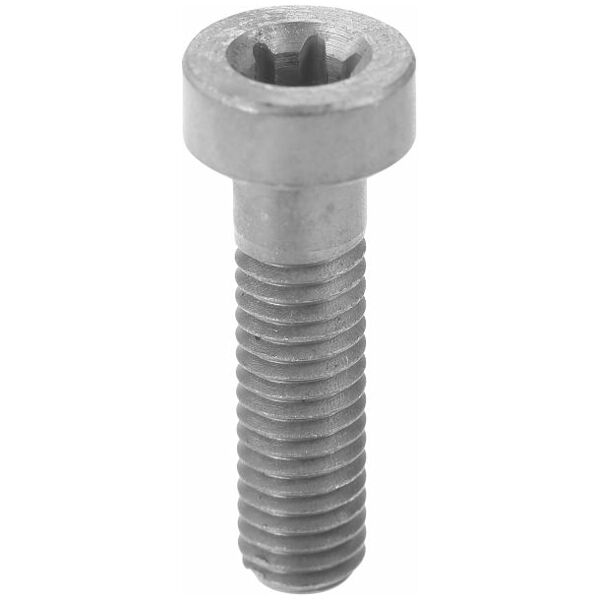 Clamping screw  6