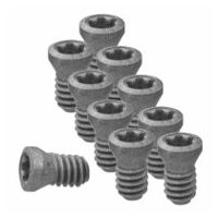 Set of insert screws 10-piece