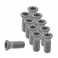 Set of insert screws 10 pieces