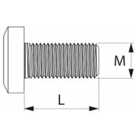 Clamping screw