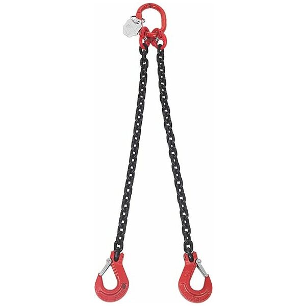 Chain hook 2-chain A4 m