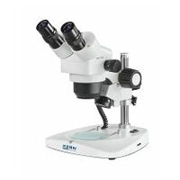 Mikroskop Bino s stereomikroskopom s povečavo. Greenough