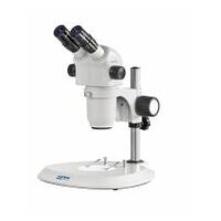 Mikroskop Bino s stereomikroskopom s povečavo. Greenough