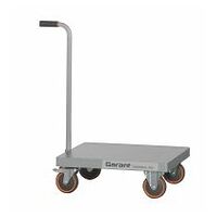 Trolley with handle T1