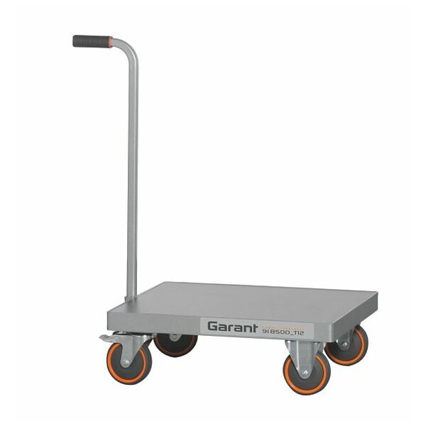Trolley with handle T1