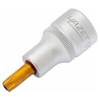 Screwdriver socket ∙ TORX® T40H Tamper-resistant TORX® profile Square, hollow 12.5 mm (1/2 inch)