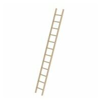 Sport enkele ladder hout zonder dwarsbalk 12 sporten
