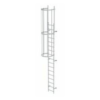 Vaste eendelige ladder met rugbescherming (constructie) geanodiseerd aluminium 5,96m