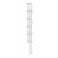 Vaste eendelige ladder met rugbescherming (constructie) roestvrij staal 9,60m