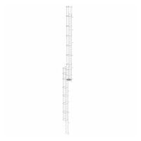 Meertraps vaste ladder met rugbescherming (constructie) roestvrij staal 19,96m