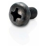 Raised countersunk screw