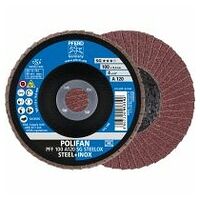 POLIFAN Disc lamelar PFF 100 A 12