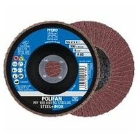 POLIFAN Disc lamelar PFF 100 A 80
