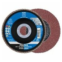 POLIFAN Disc lamelar PFF 115 A 12