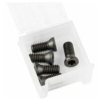 Fastening screws for ALUMASTER R 50/115/125, F115/125 and EDGE FINISH system for work on edges