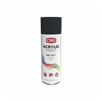 Acrylic Spray 9011 Noir graphite mat