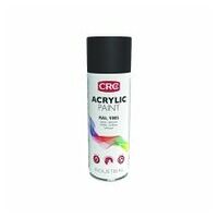 Acrylic Spray 9005 Noir profbrillant