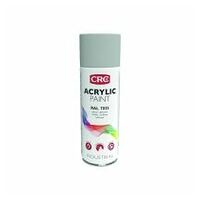 Acrylic Spray 7035 Gris clair