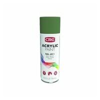 Acrylic Spray 6011 Resedagrün