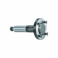 Fräsdorn CNC P-System, Ø30 mm, Schaft Ø20x50 mm, L 102 mm
